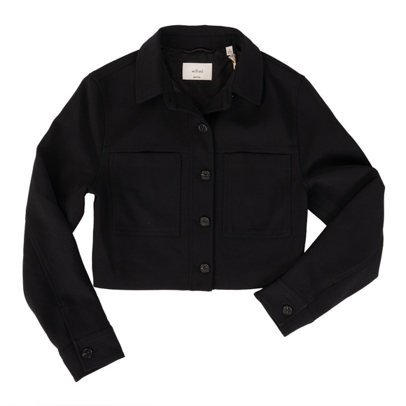 Aritzia Black Button Front Jacket